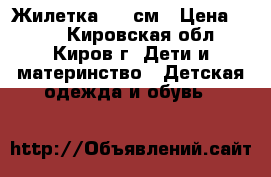 Жилетка 116 см › Цена ­ 250 - Кировская обл., Киров г. Дети и материнство » Детская одежда и обувь   